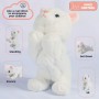 Exquisite giftjellycat stuffed animals