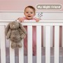 bunny plush personalise