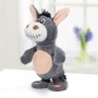 talking donkey personalise