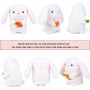 peter rabbit plush custom made
