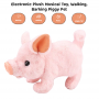 wholesale stuffed piggy