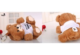 The Best Multi-Functional Toys and Gadgets: Talking Toys and Teddy Bear Power Banks for the Modern Consumer