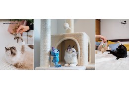 Serenity in Softness Sox Cat Toy and the Calming Power of Plush Toys for Anxious Cats"