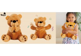 Detailed Introduction of Teddy Bear With Music Box